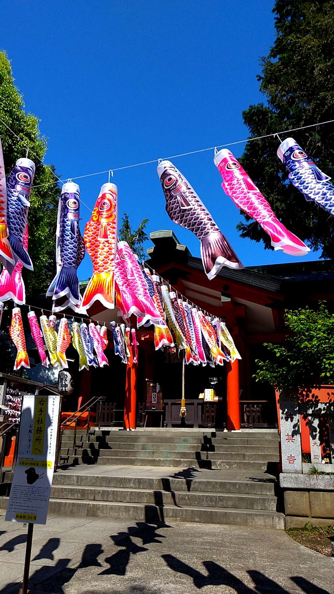 むさしましまさんのプロフィール画像