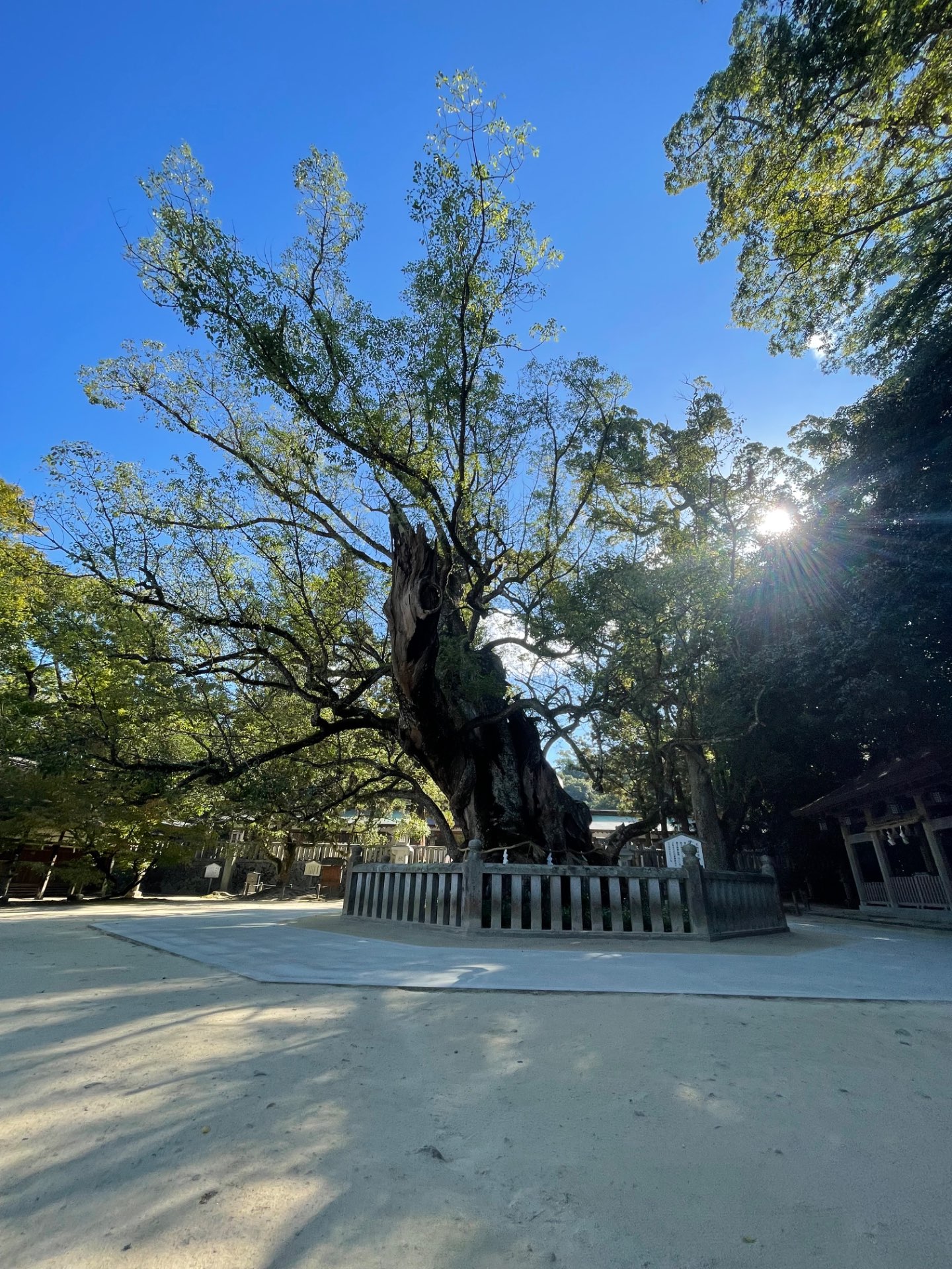 ふうみんさんのプロフィール画像