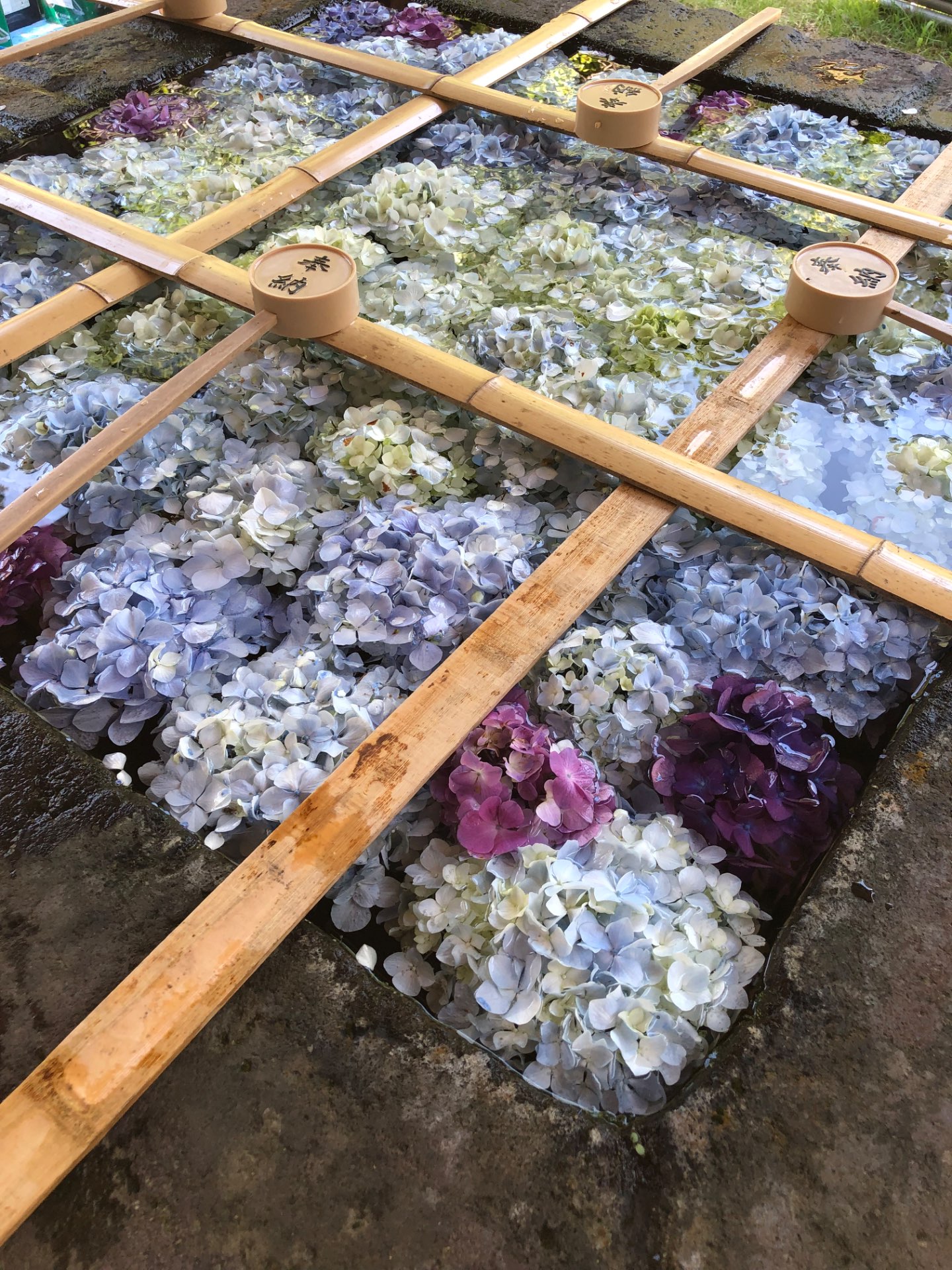 愉香さんのプロフィール画像