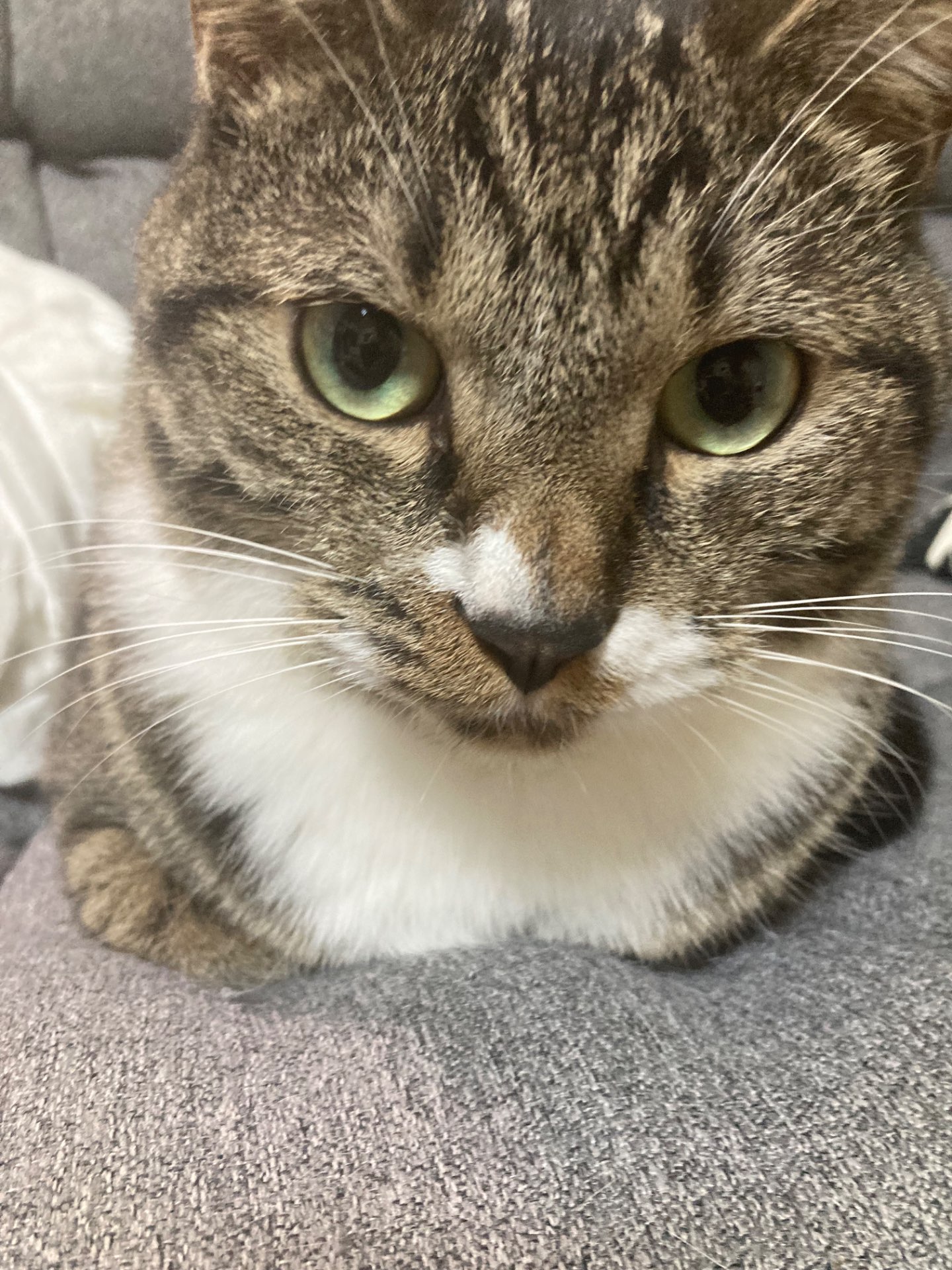 ぶんぞうさんのプロフィール画像