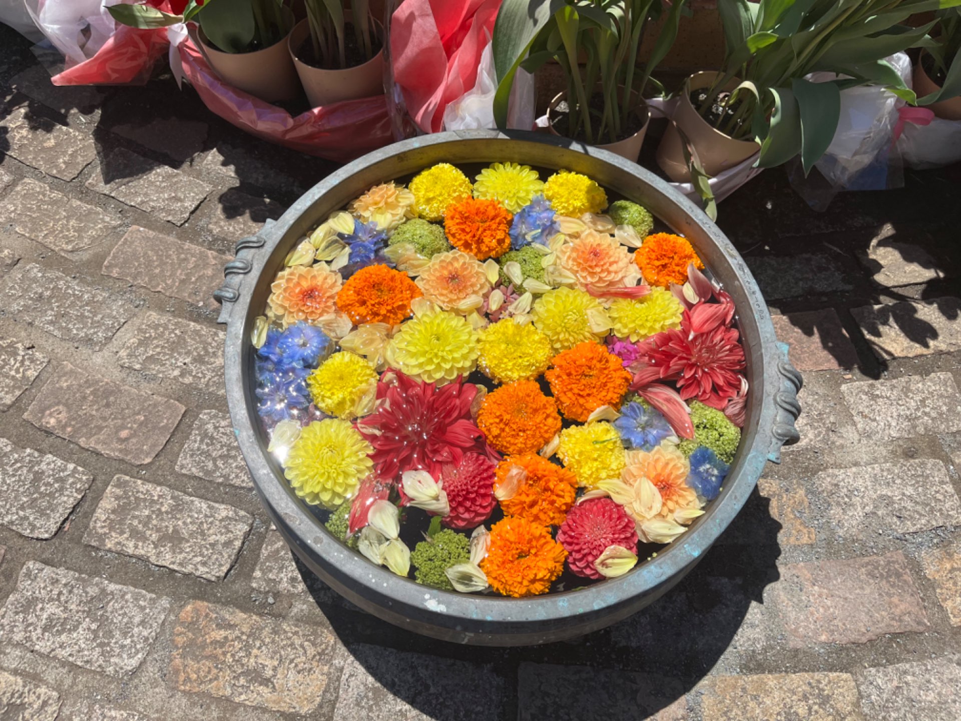 marinさんのプロフィール画像