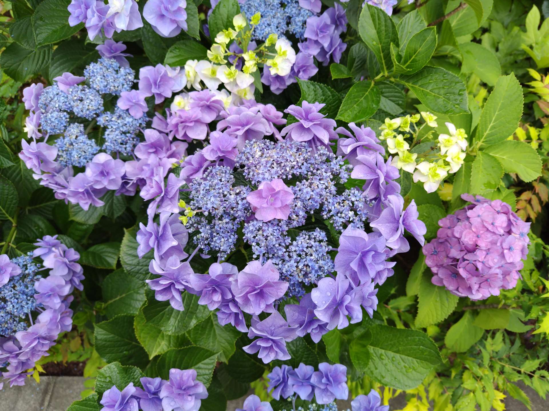 uptyさんのプロフィール画像