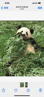 りなとくさんのプロフィール画像