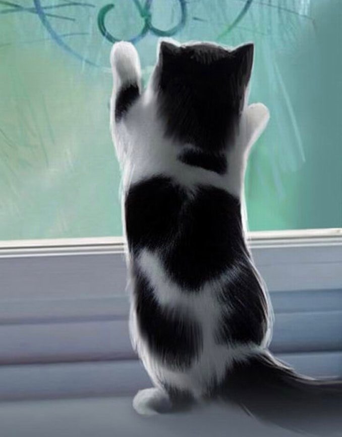 あみさんのプロフィール画像