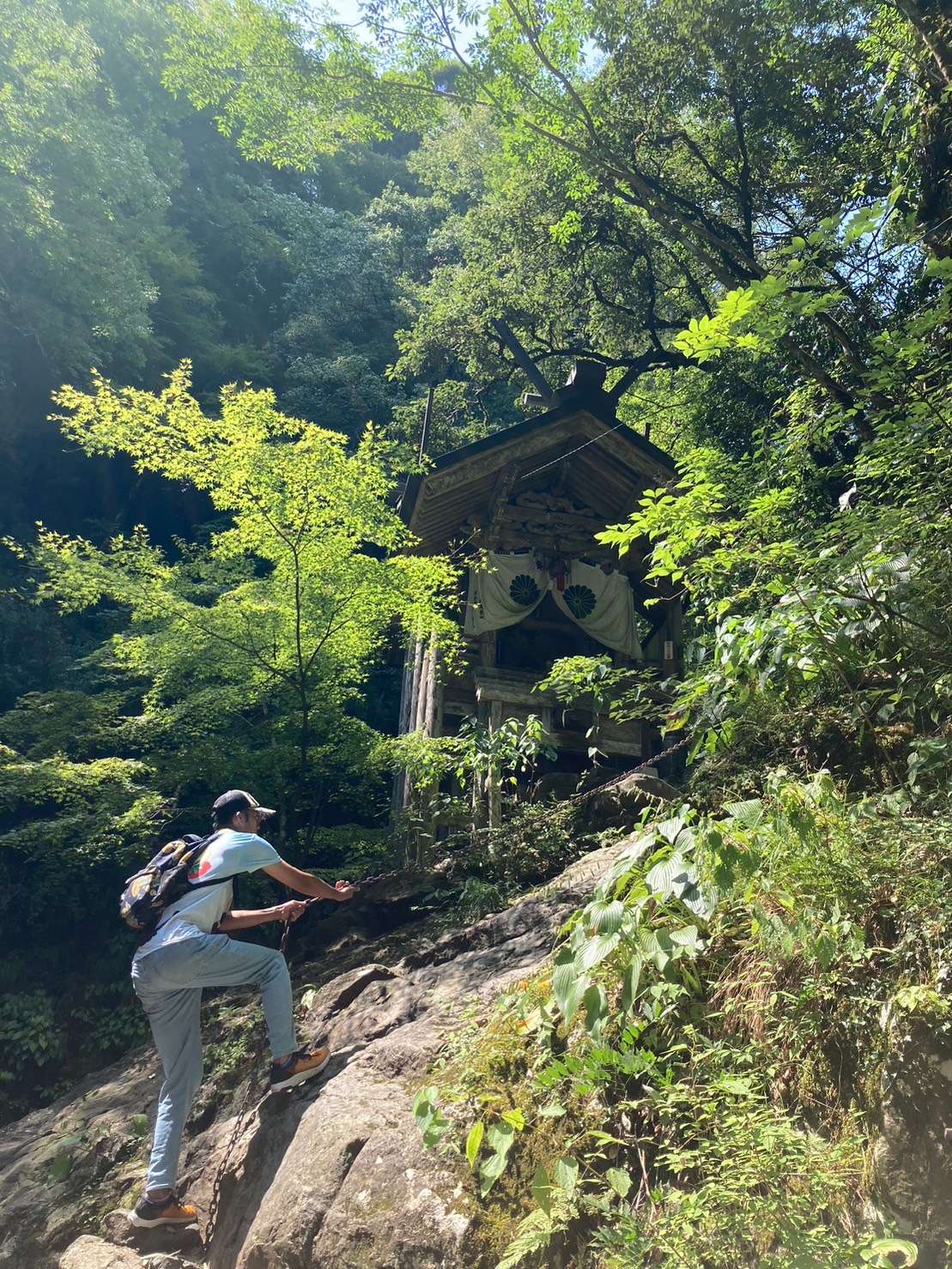 ぬるかんぐうさんのプロフィール画像