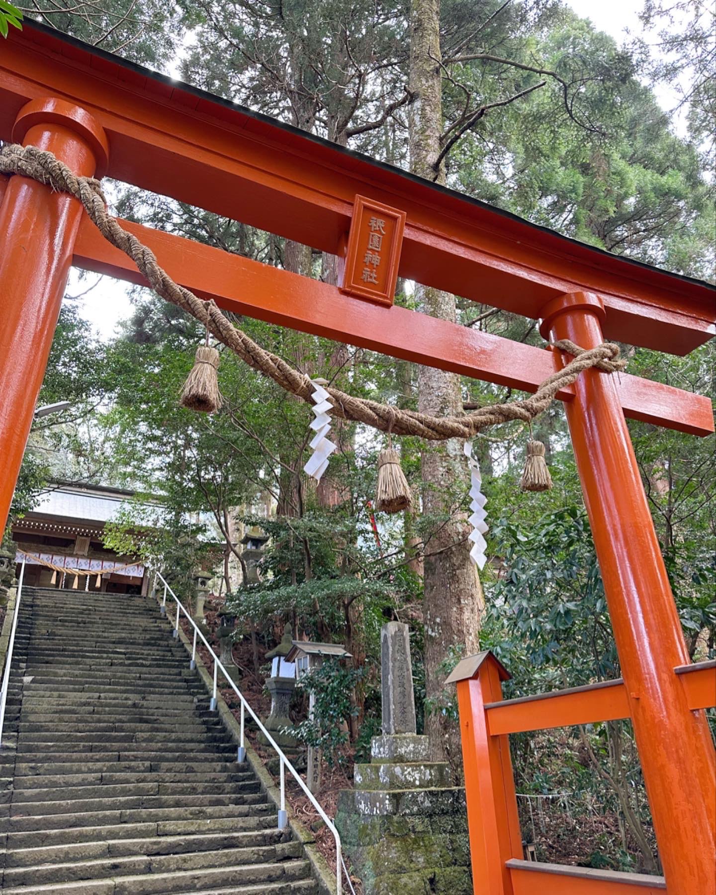 たんころぶしさんのプロフィール画像