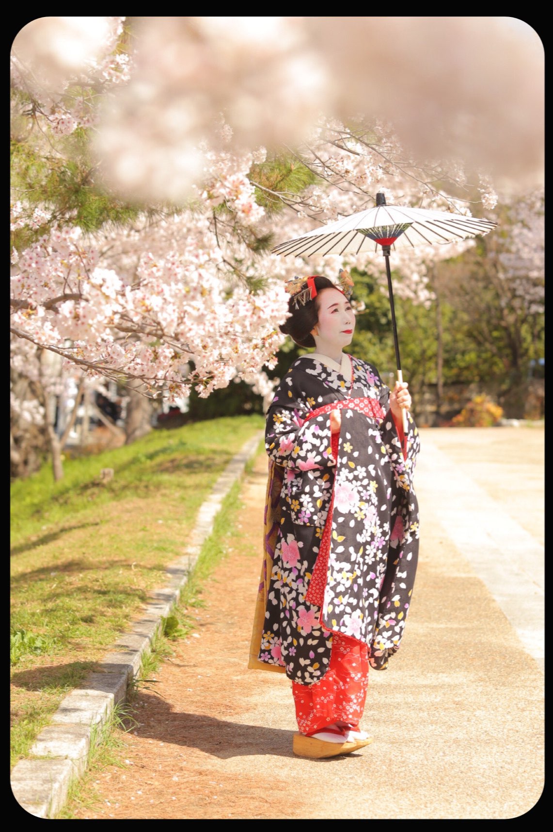 しなもんさんのプロフィール画像