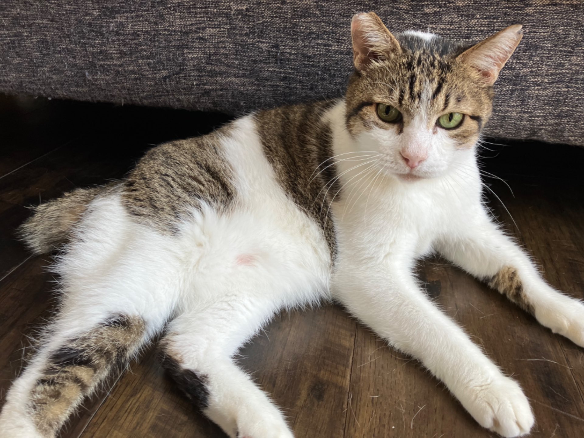 ぽんたさんのプロフィール画像