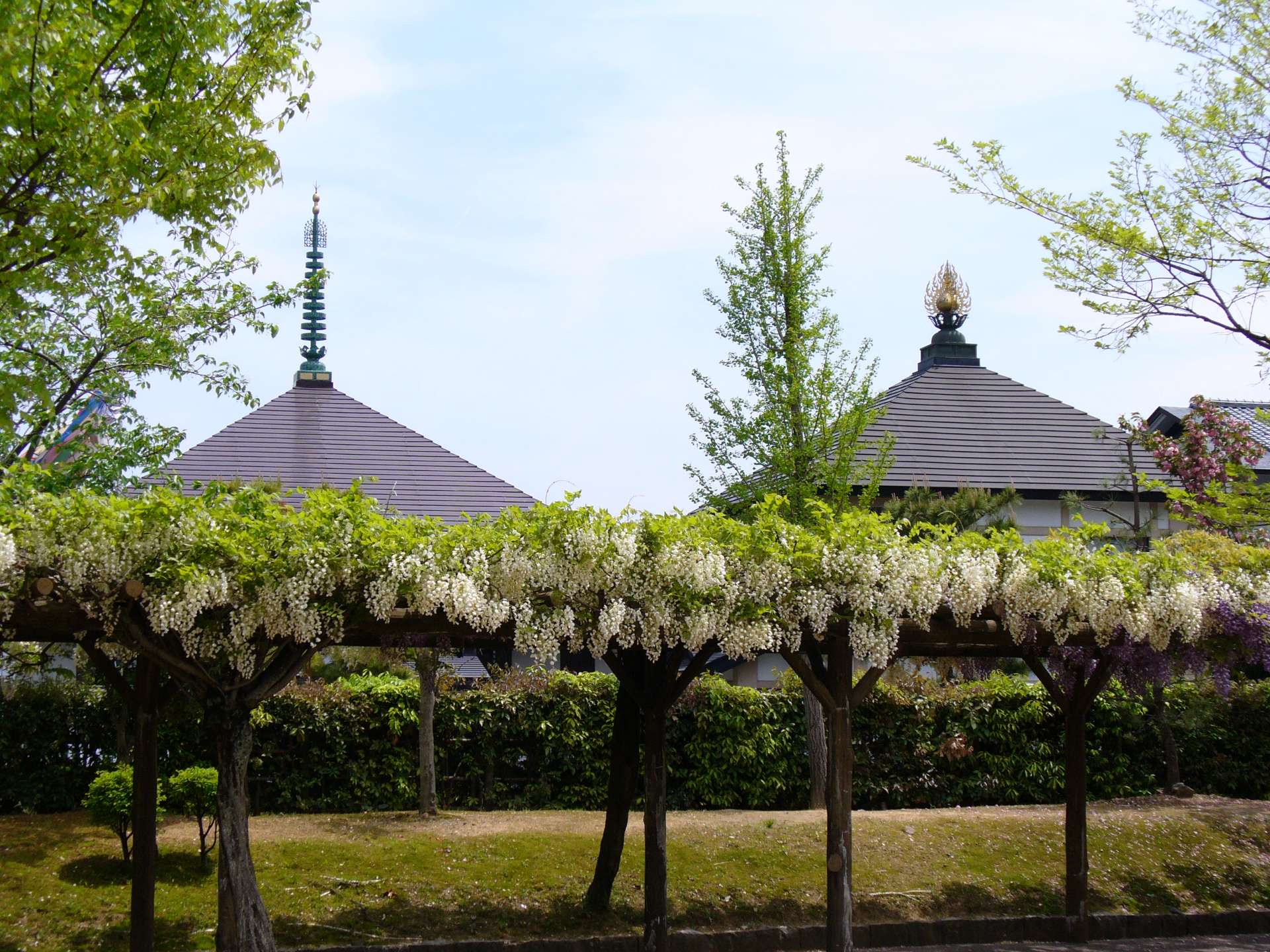 善根山弘法寺さんのプロフィール画像