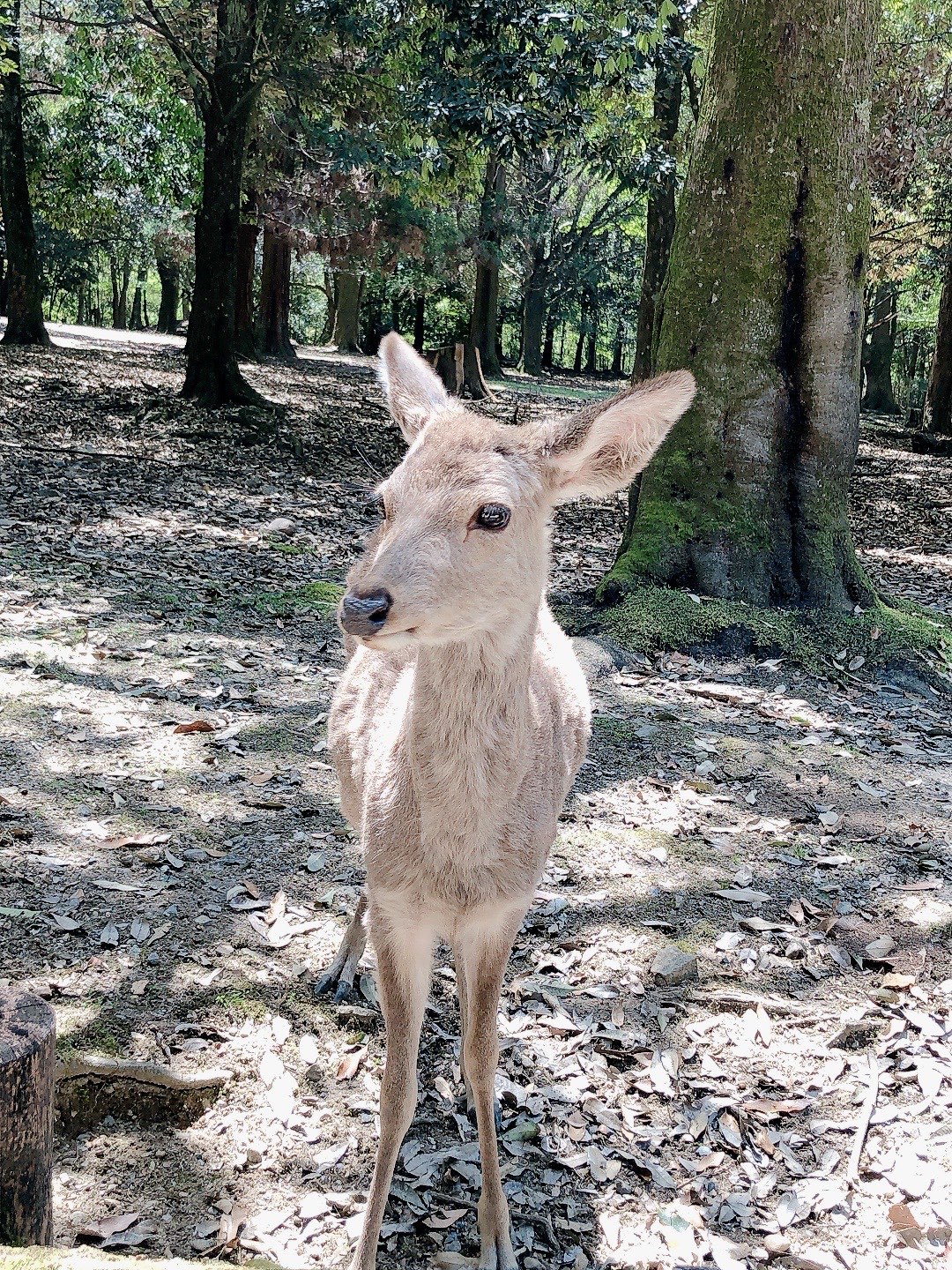 はるなつさんのプロフィール画像
