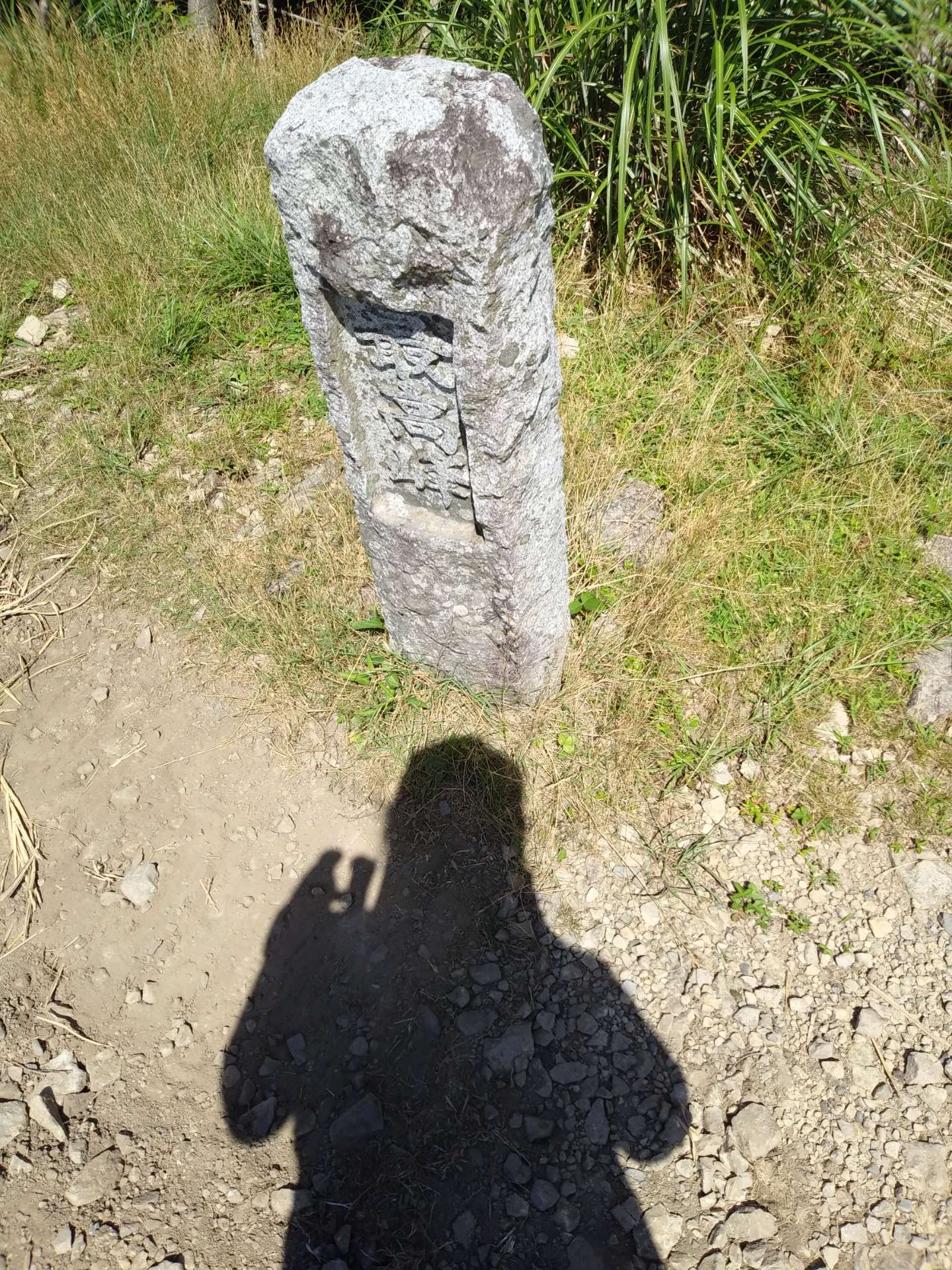 pimarinさんのプロフィール画像