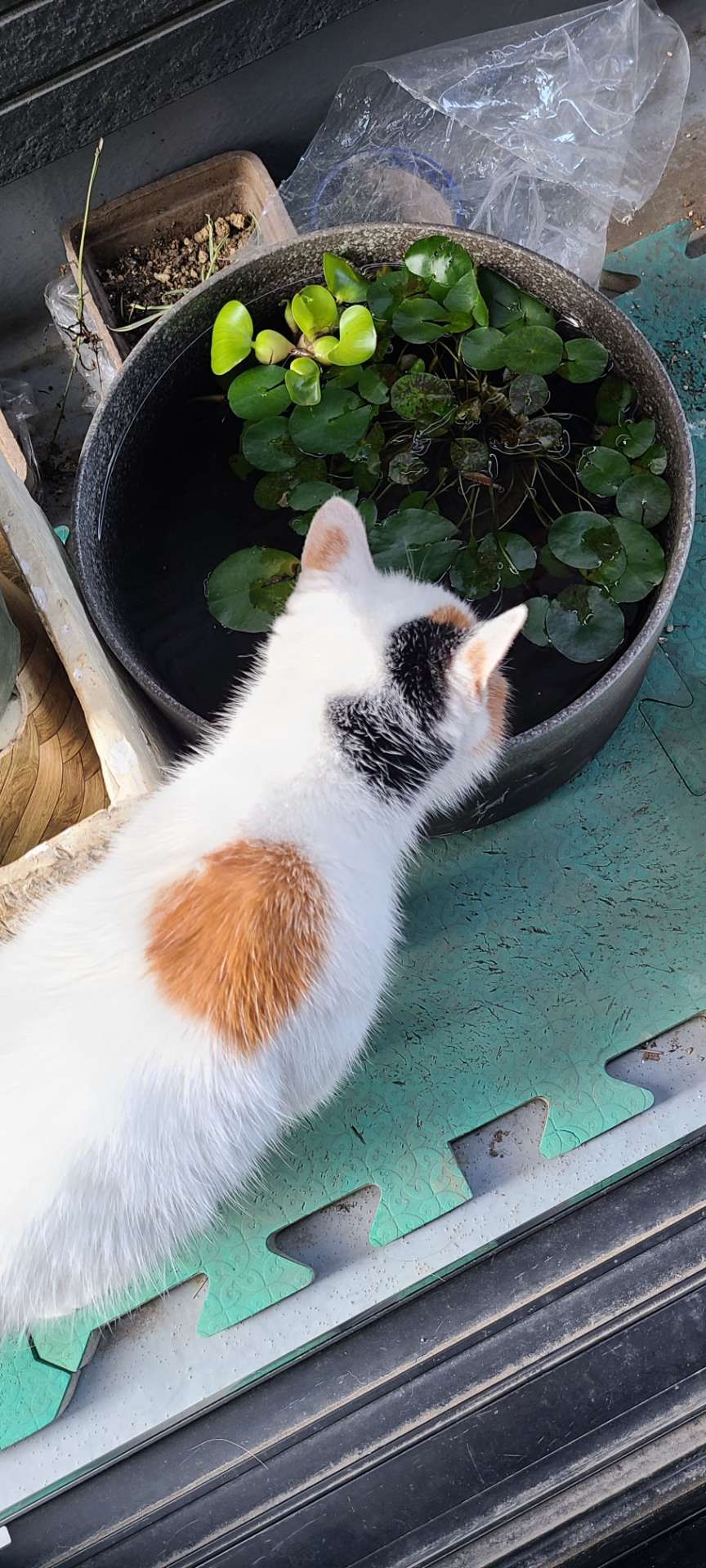 おてんさんのプロフィール画像