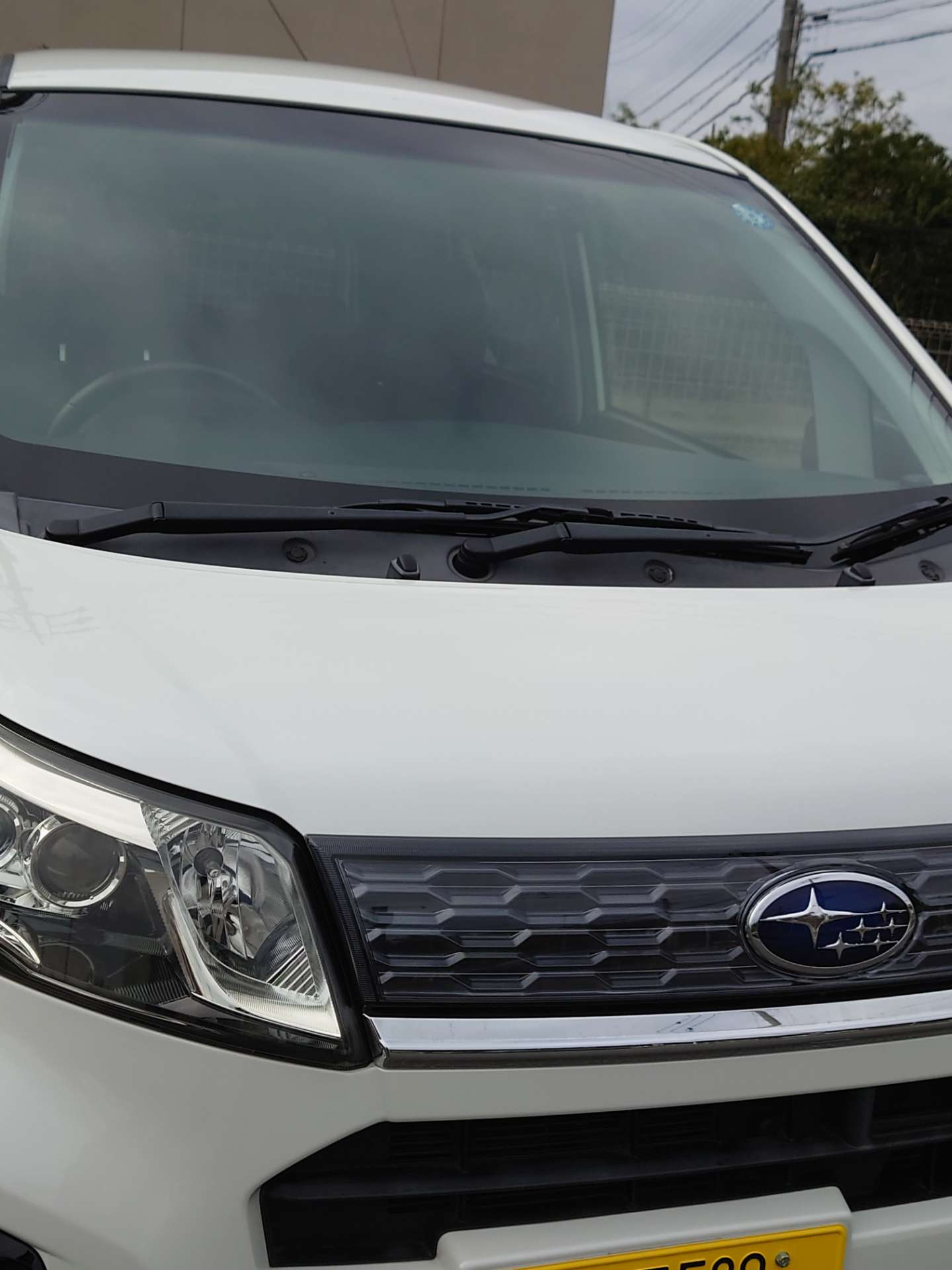 高峰　椿さんのプロフィール画像