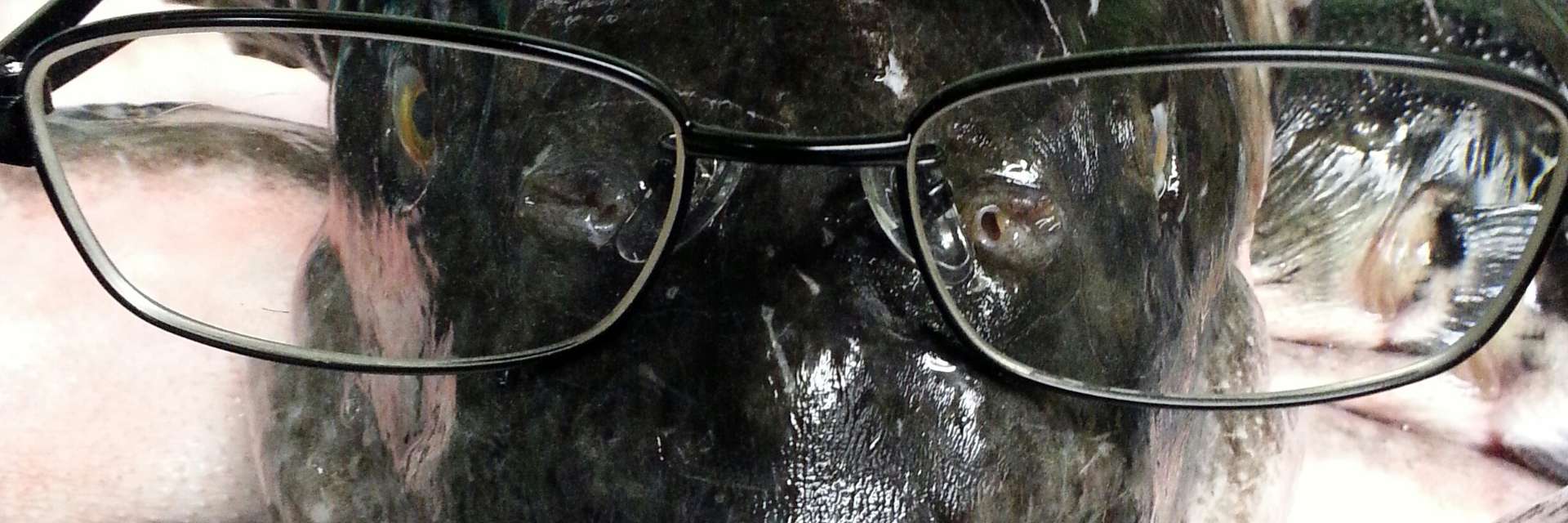 原田さんのプロフィール画像