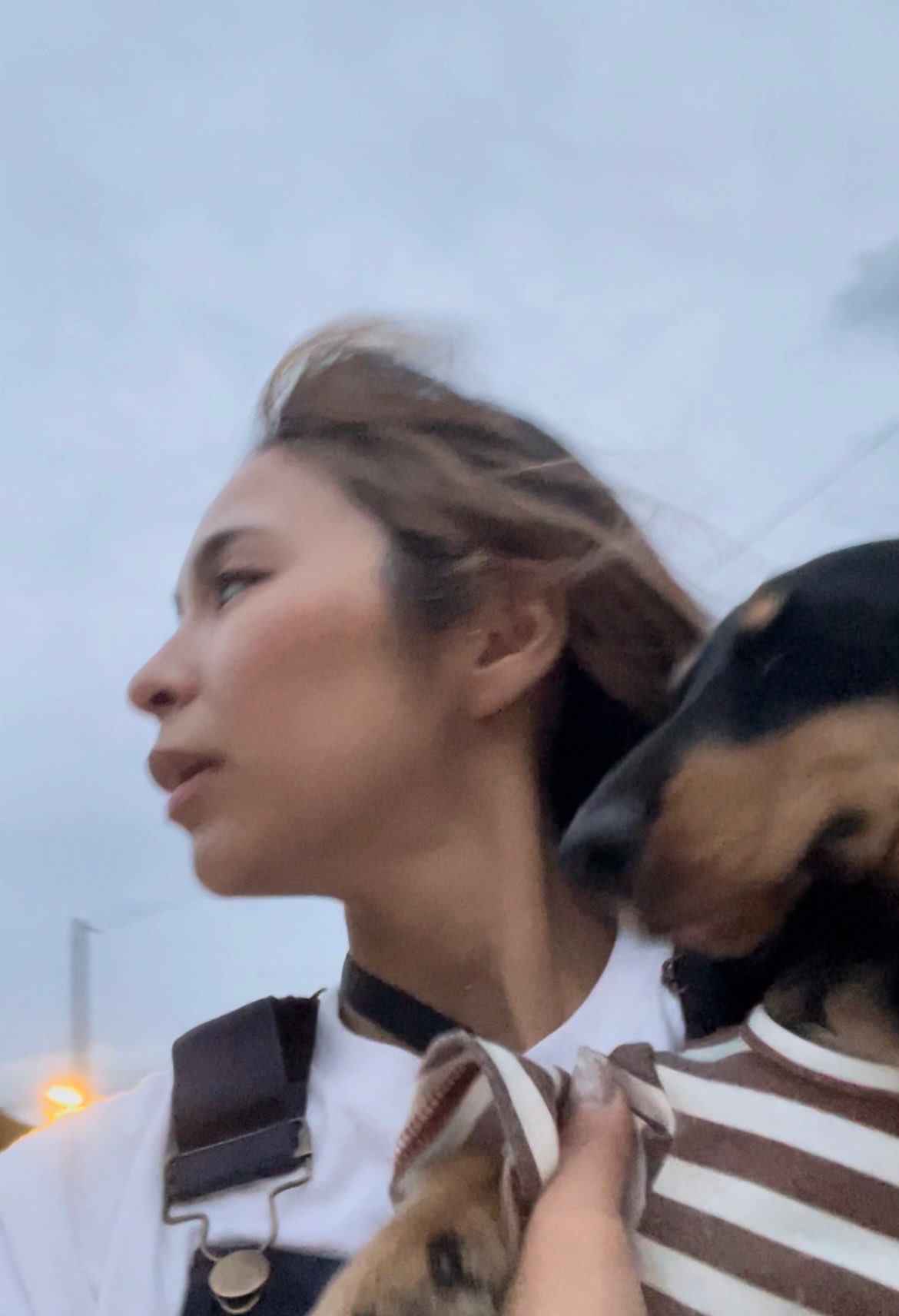 ぷみぷみさんのプロフィール画像