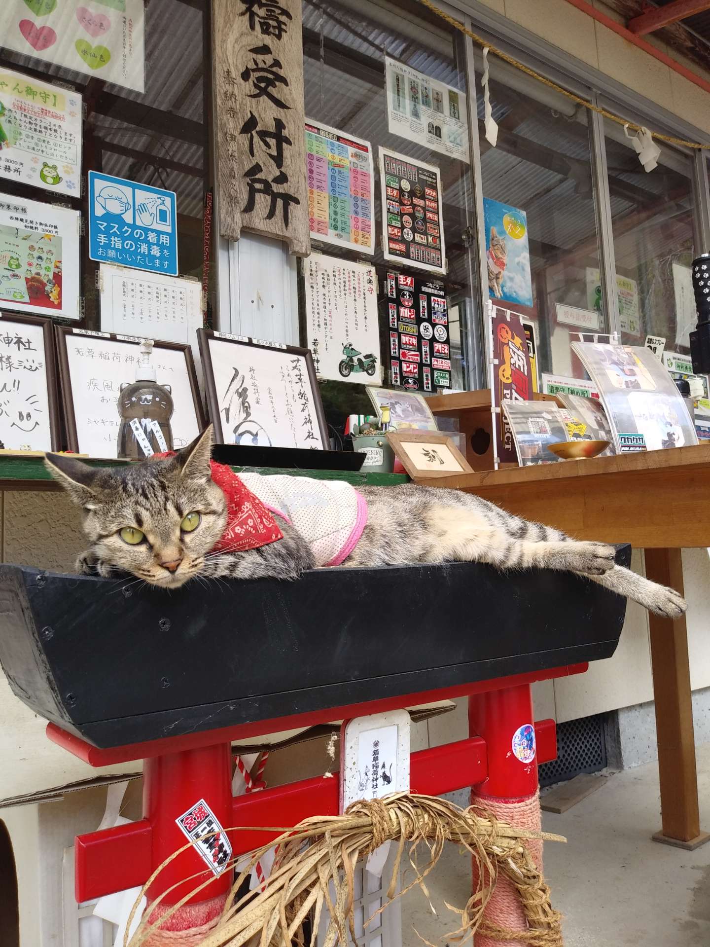 やまさんのプロフィール画像