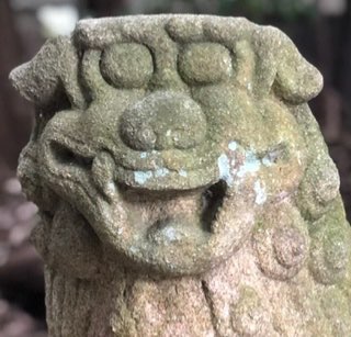 八月朔日さんのプロフィール画像