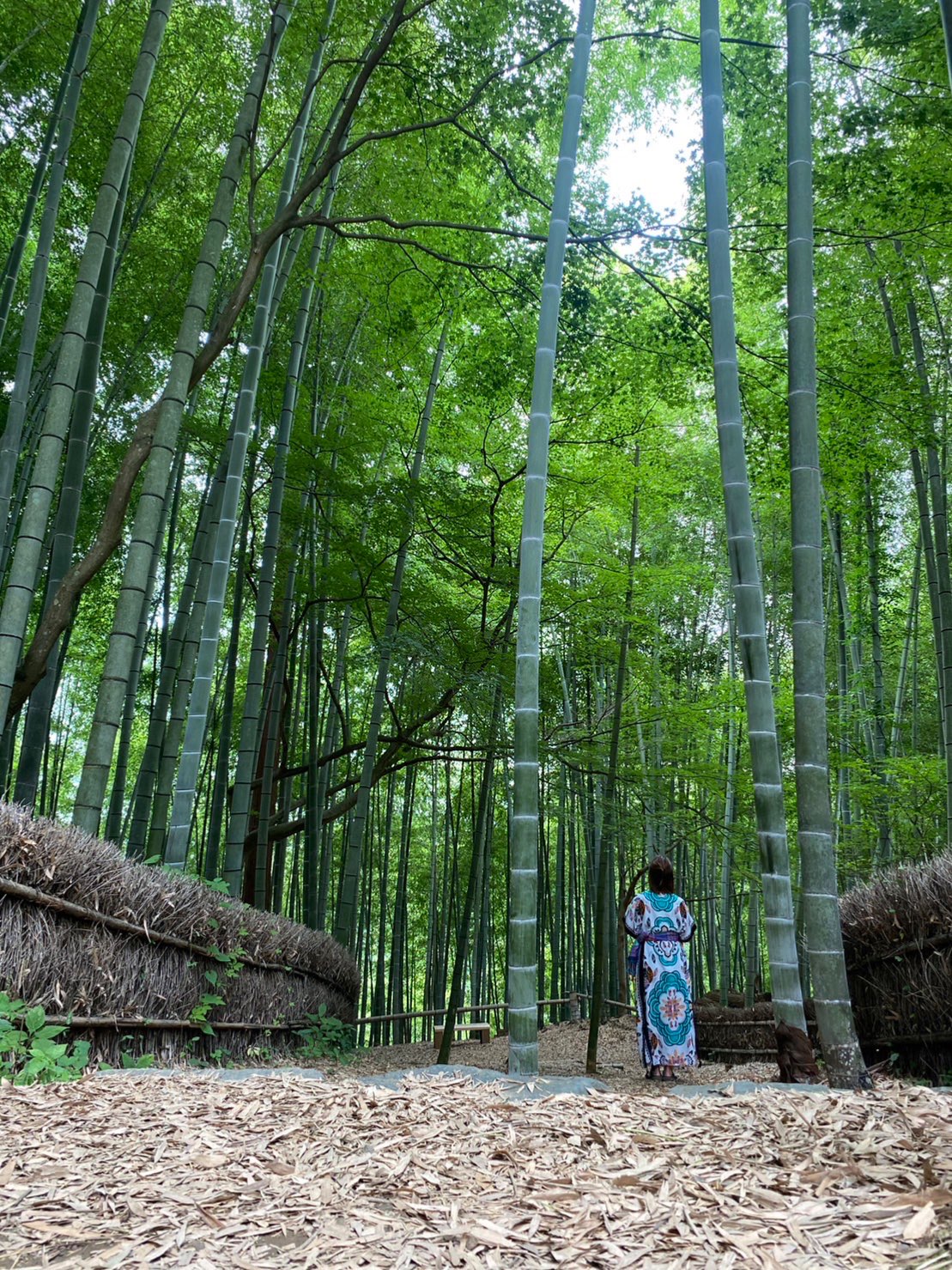 樹さんのプロフィール画像