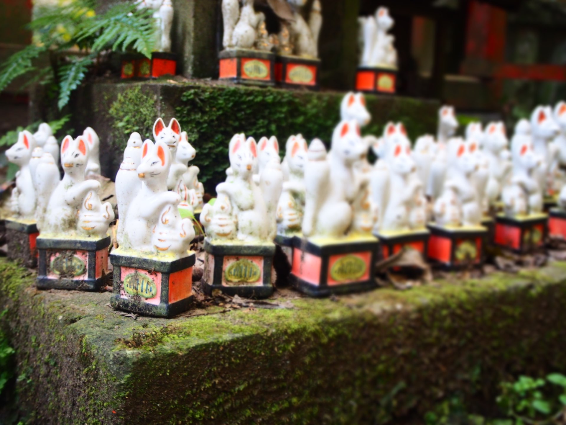 しのさんのプロフィール画像