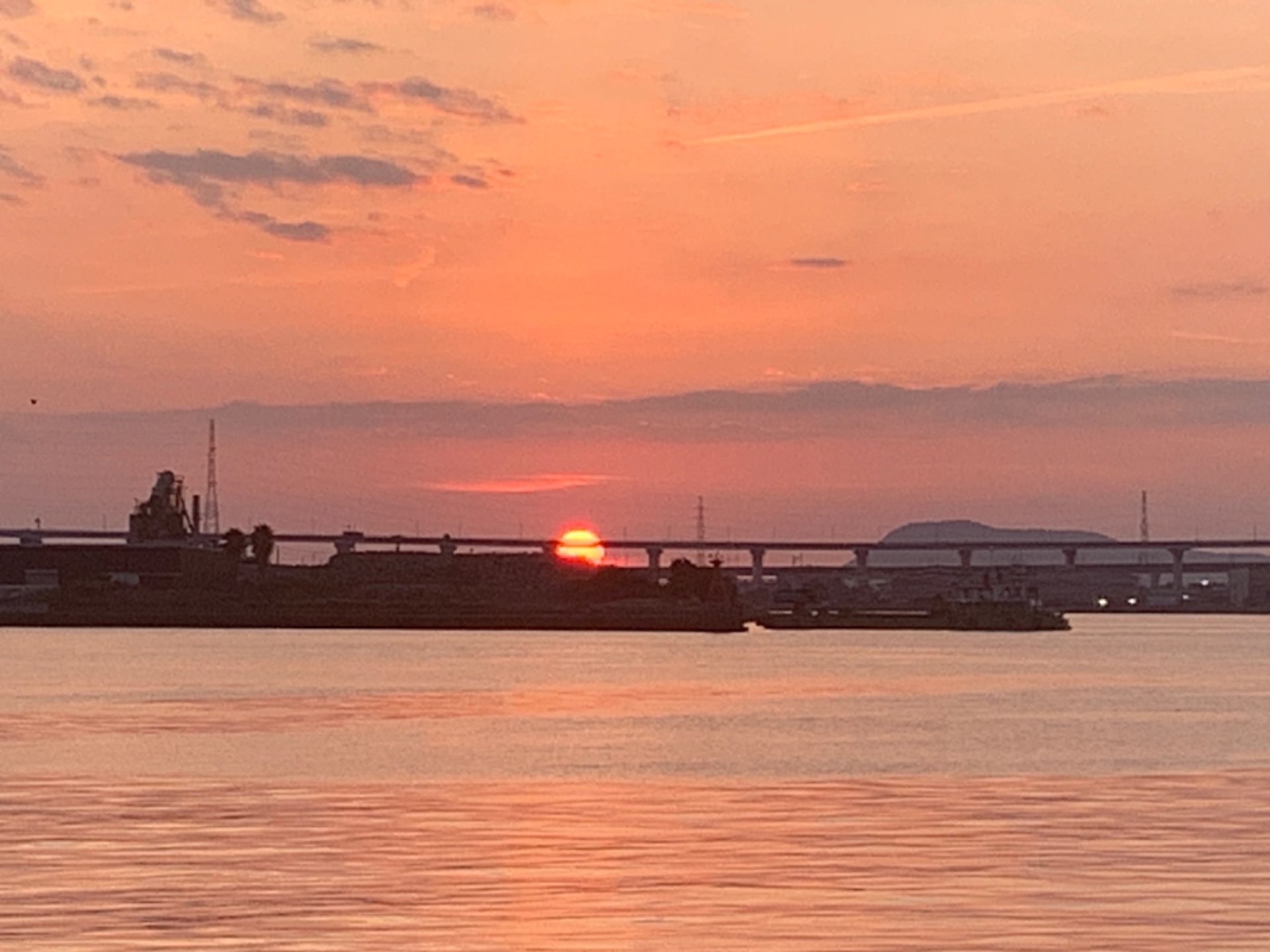 ハンサム🐉さんのプロフィール画像