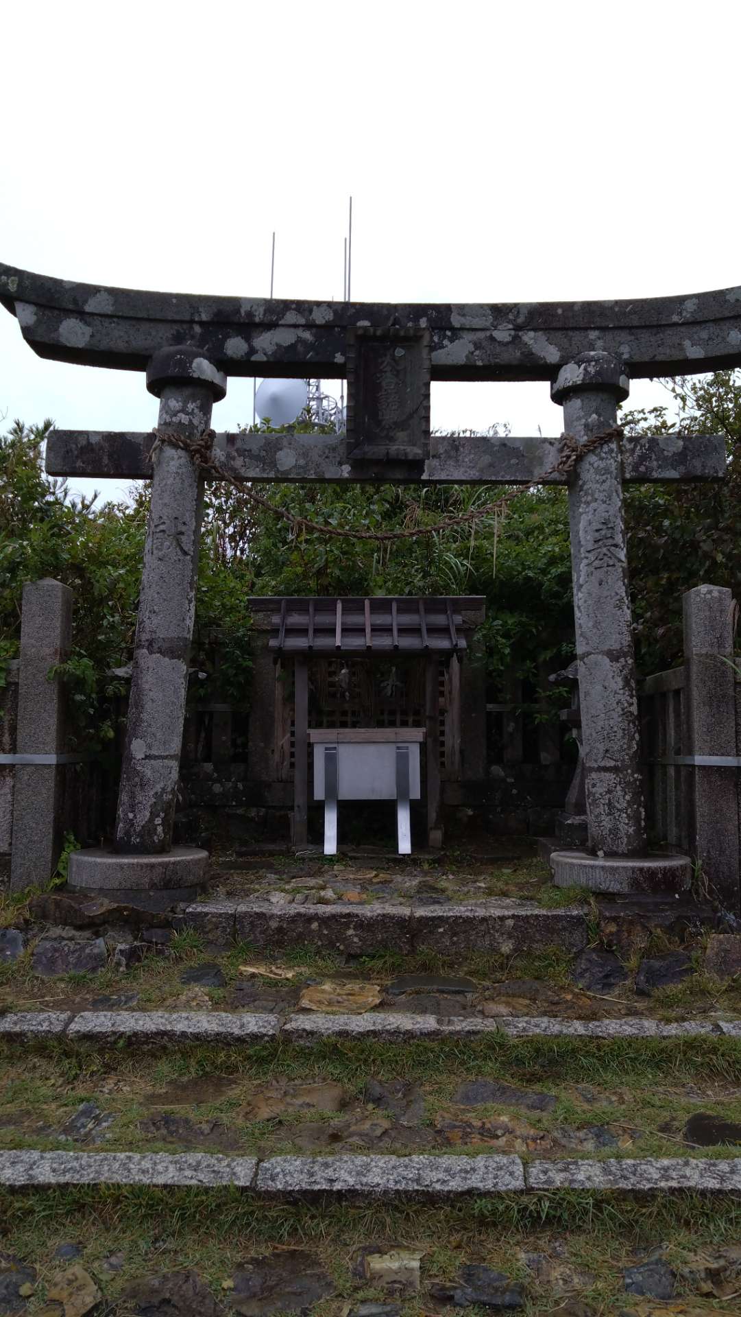 イガさんのプロフィール画像