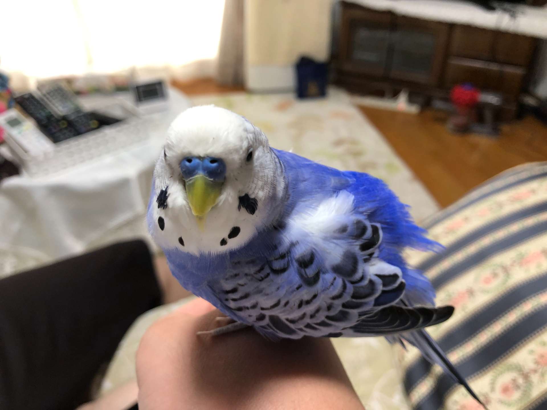 hiroさんのプロフィール画像