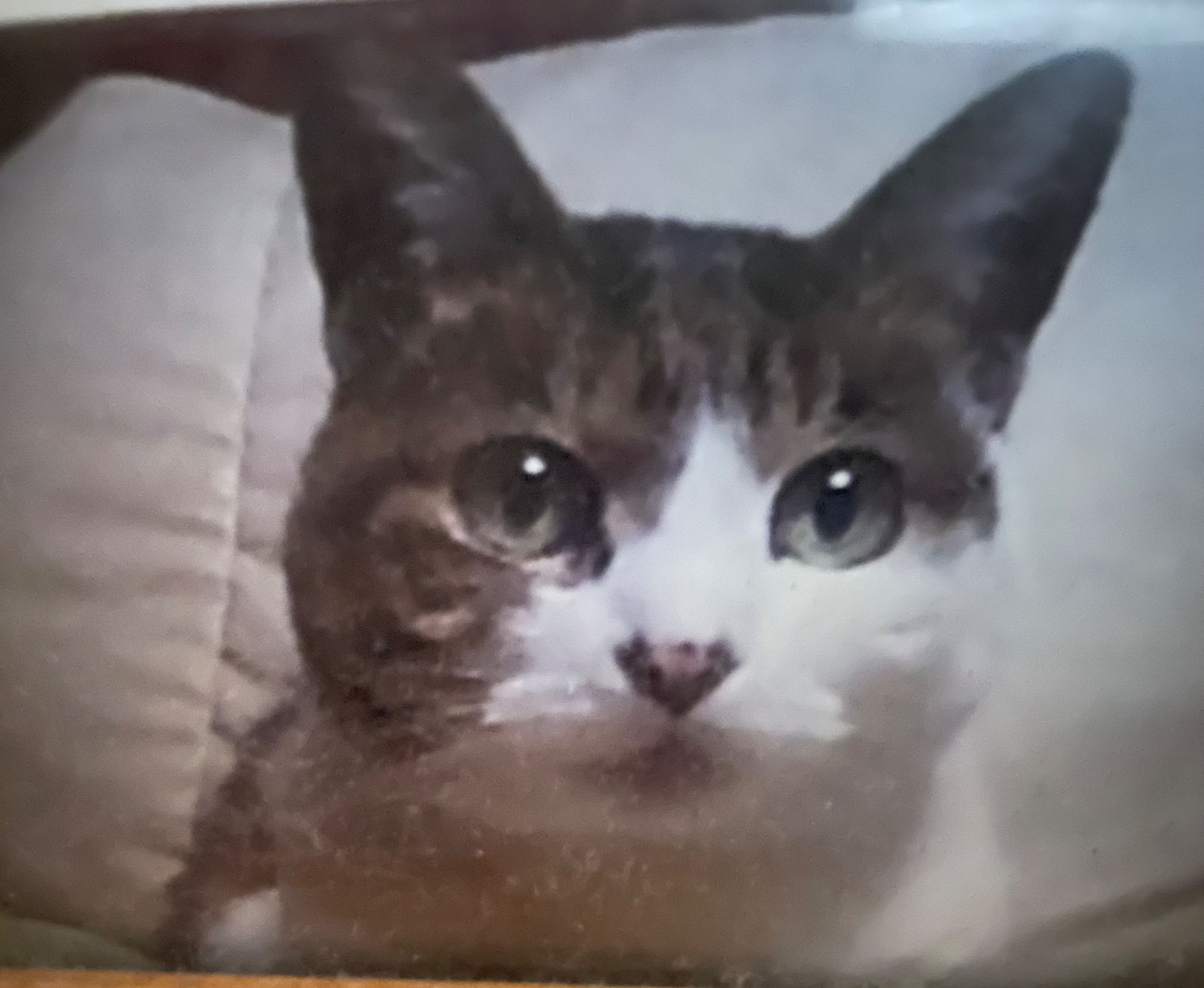 るみさんのプロフィール画像