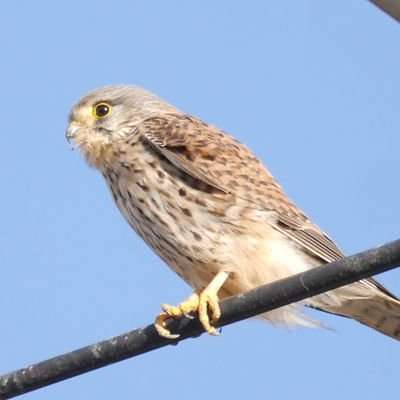 超玄坊さんのプロフィール画像