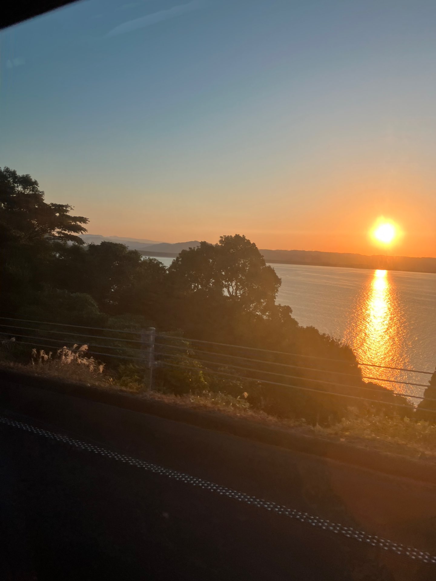 yankeさんのプロフィール画像