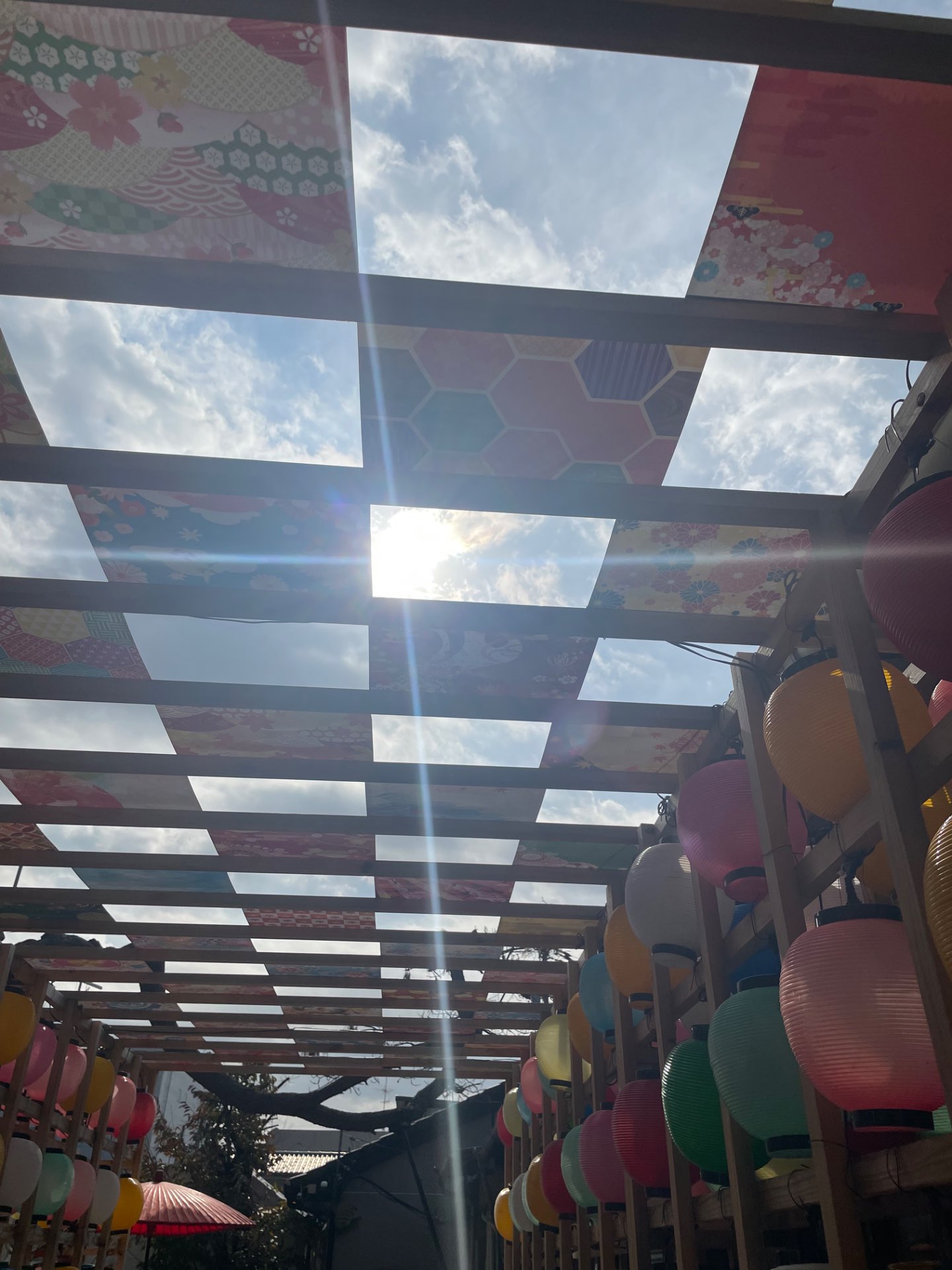 むくさんのプロフィール画像