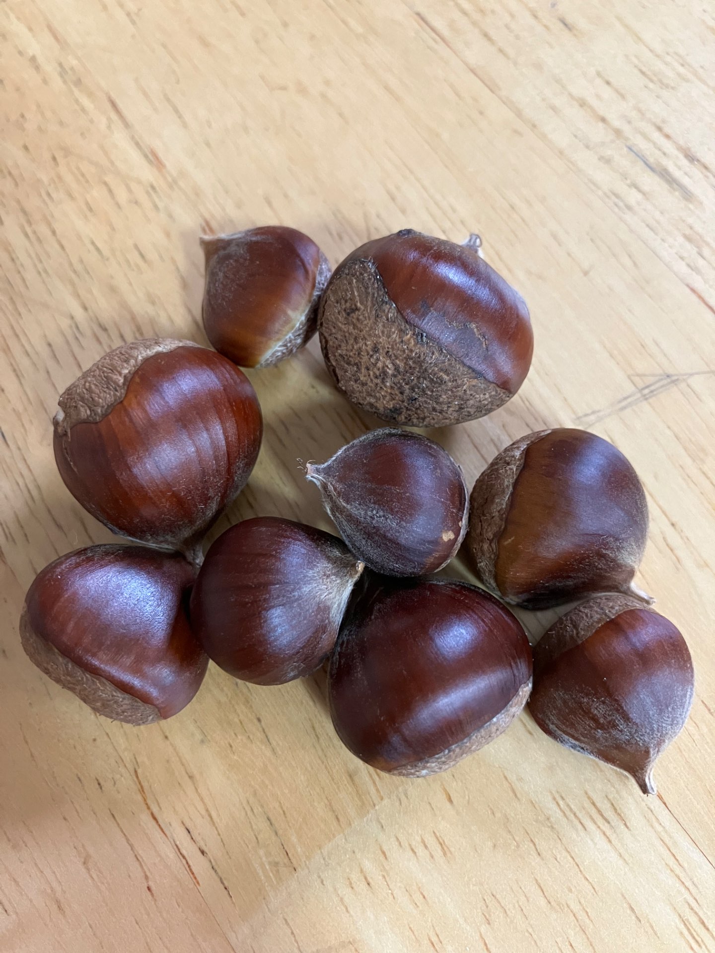 くりまんじゅうさんのプロフィール画像