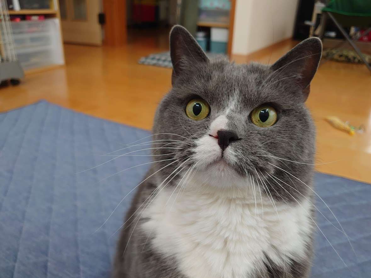 KAZさんのプロフィール画像