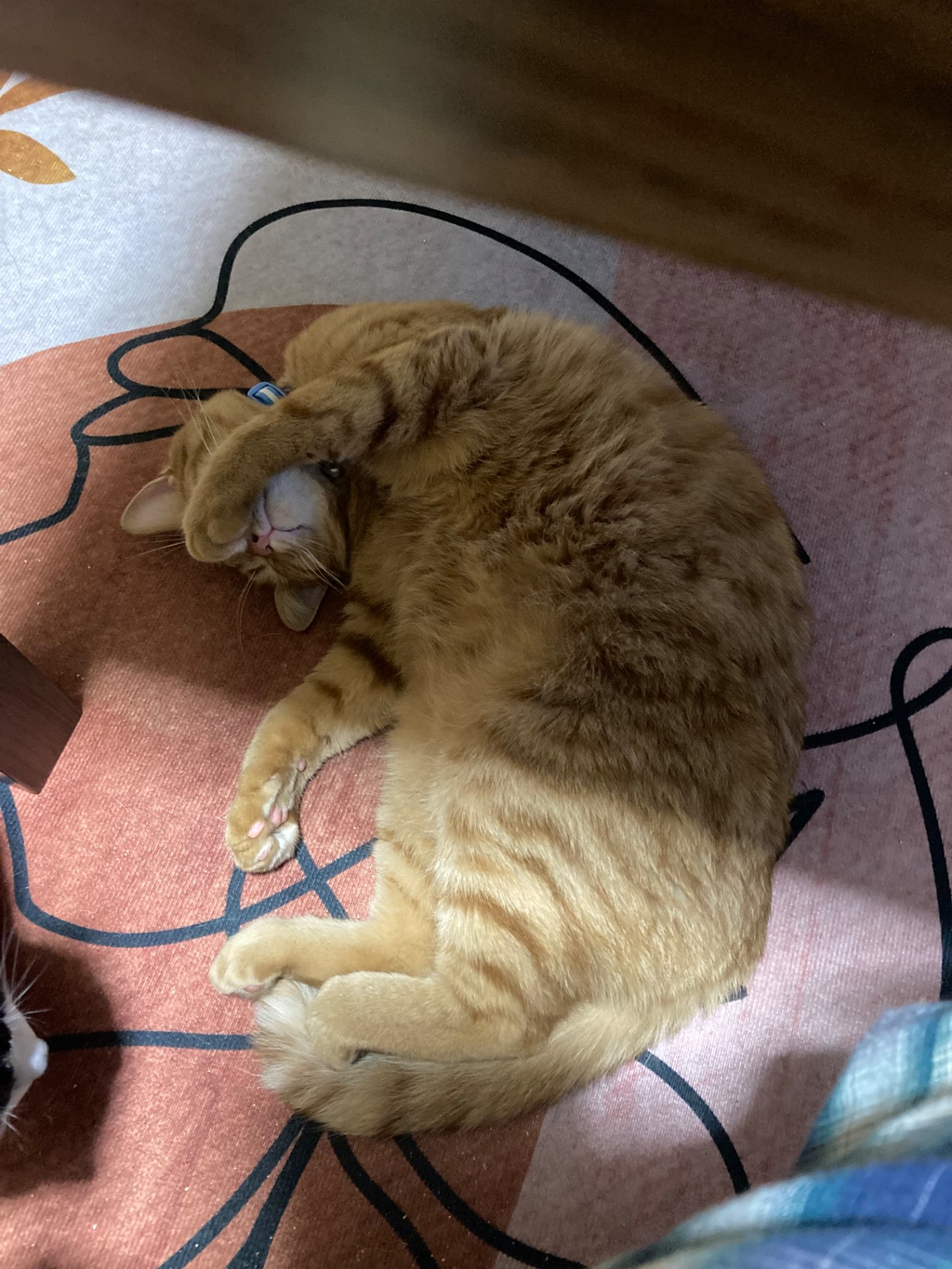 りなままさんのプロフィール画像