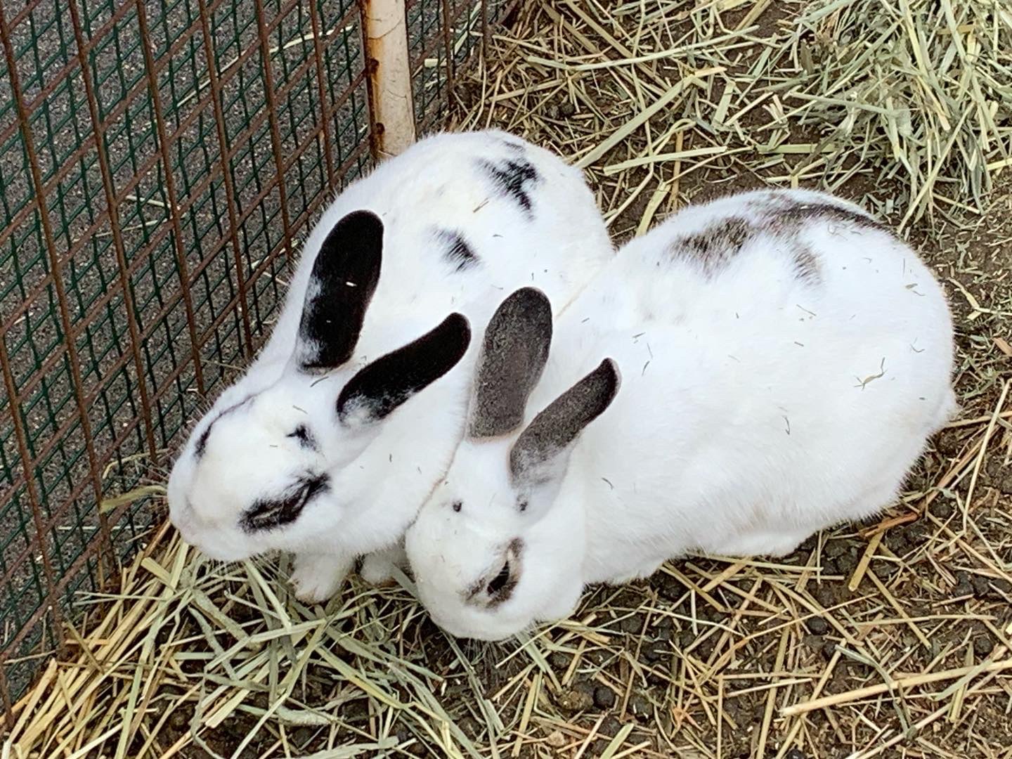 アイし〜さんのプロフィール画像