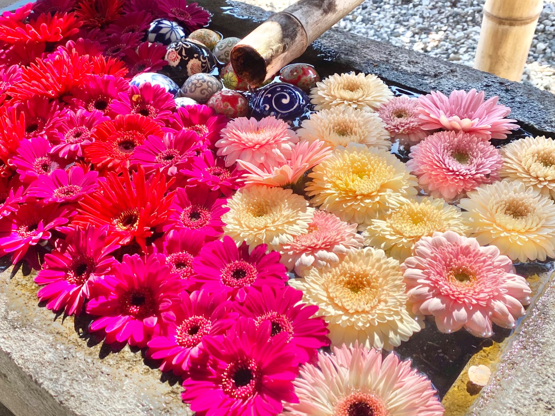 mさんのプロフィール画像