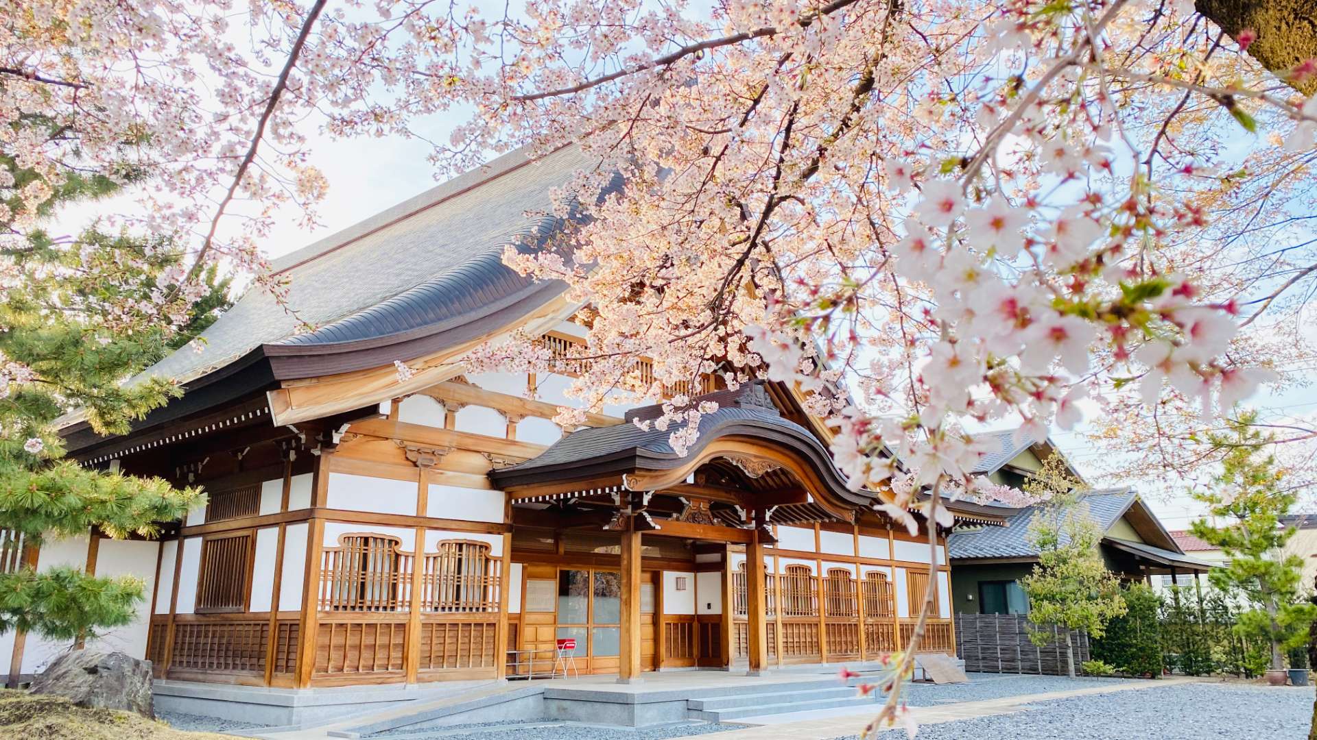 実相寺さんのプロフィール画像