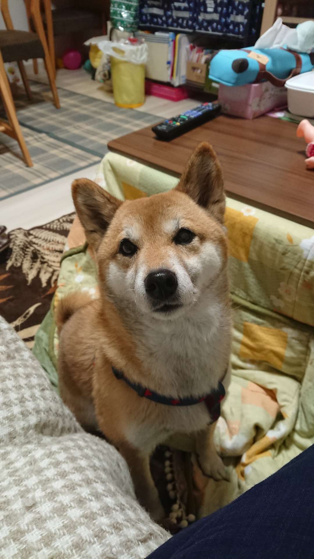 おがおが1262さんのプロフィール画像