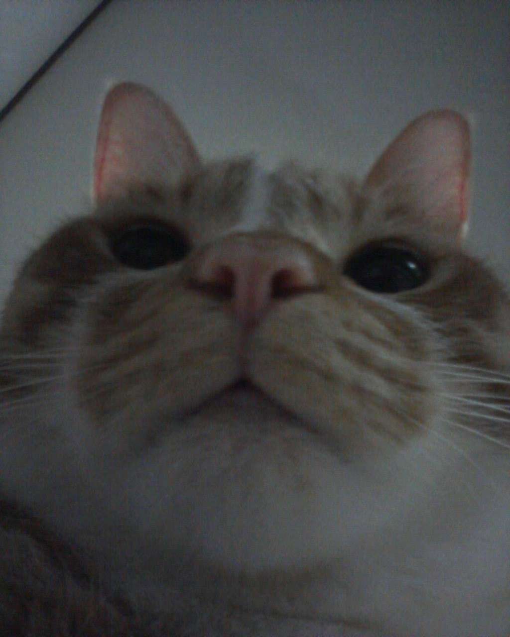 たかしさんのプロフィール画像