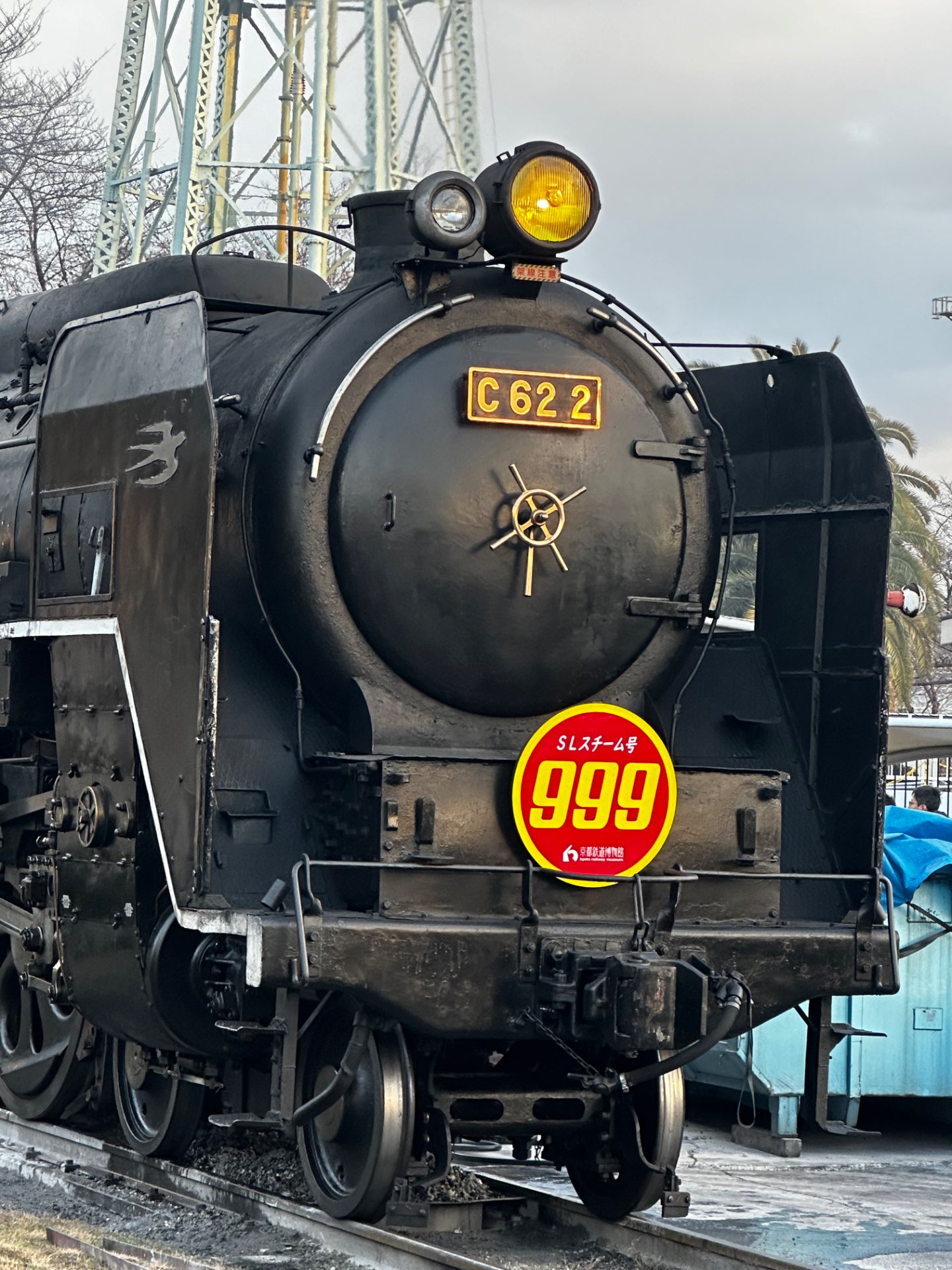 るぱんださんのプロフィール画像