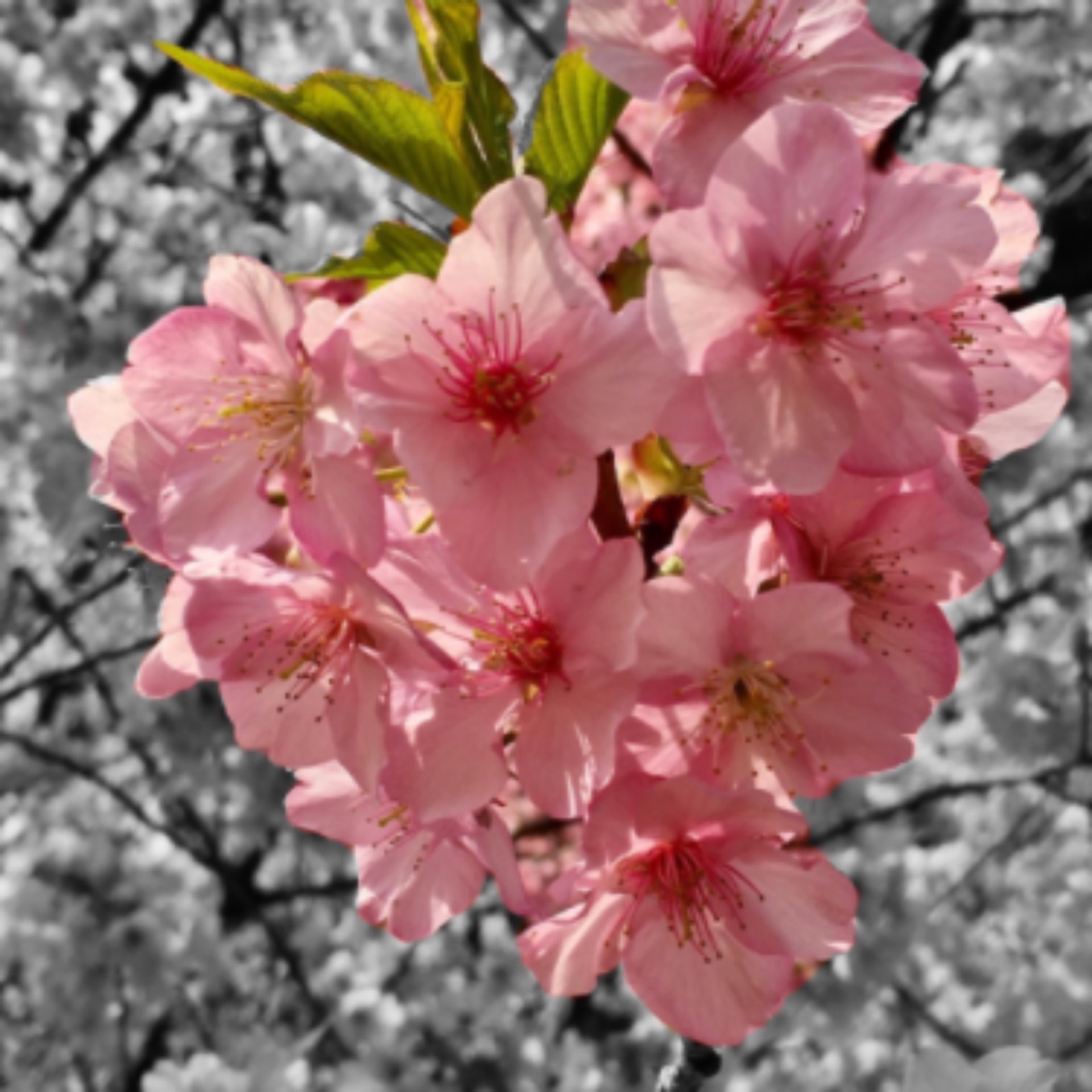 みーちゃんさんのプロフィール画像