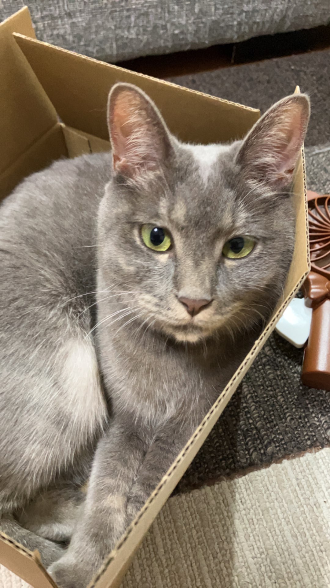 すすこさんのプロフィール画像