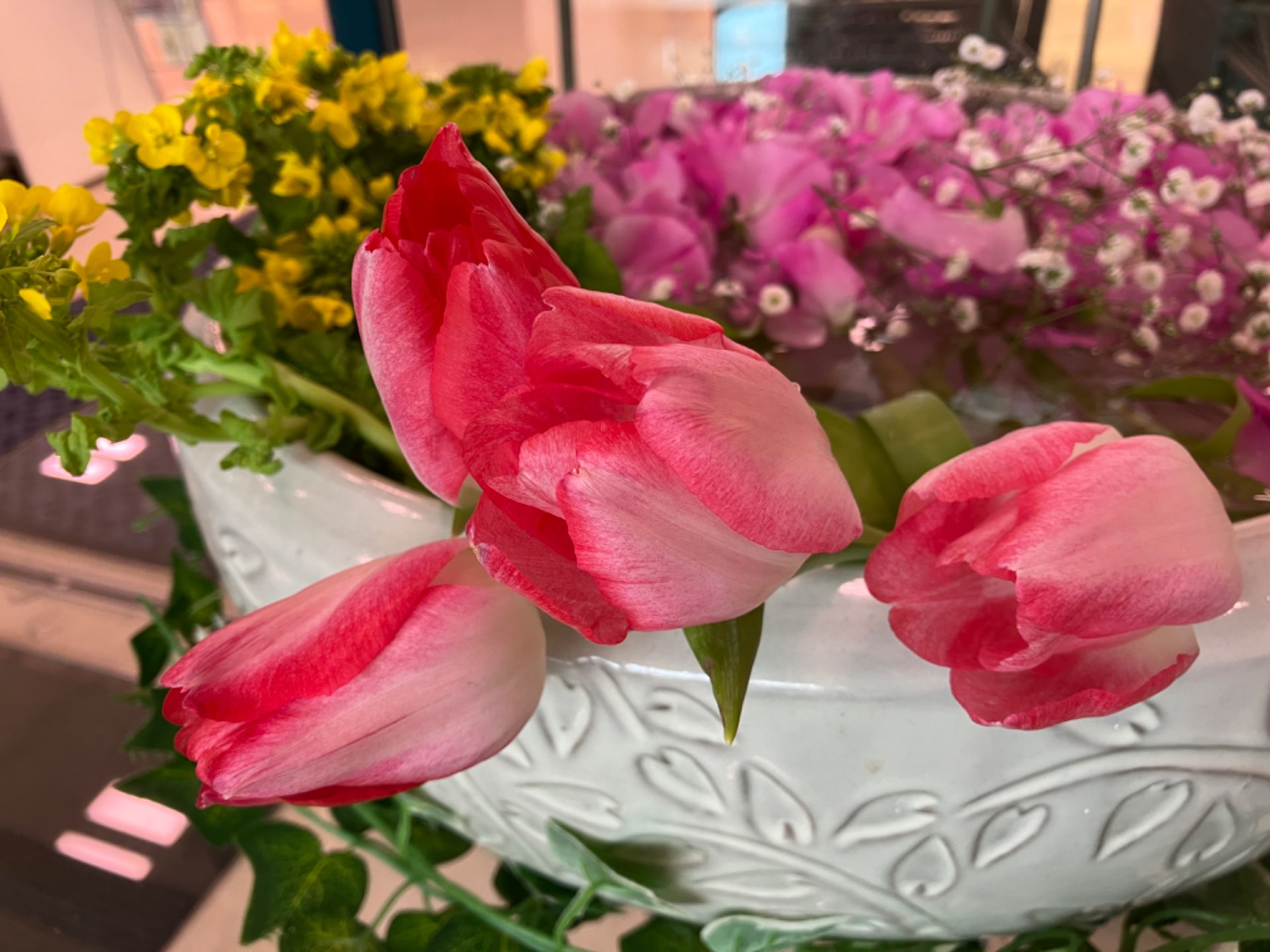 かばねさんのプロフィール画像