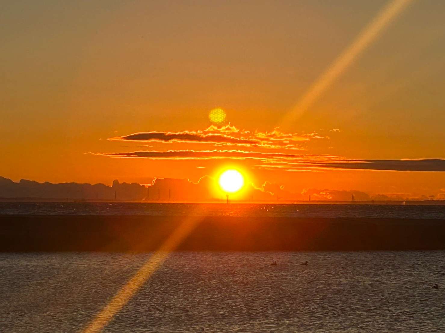 Ichikoさんのプロフィール画像