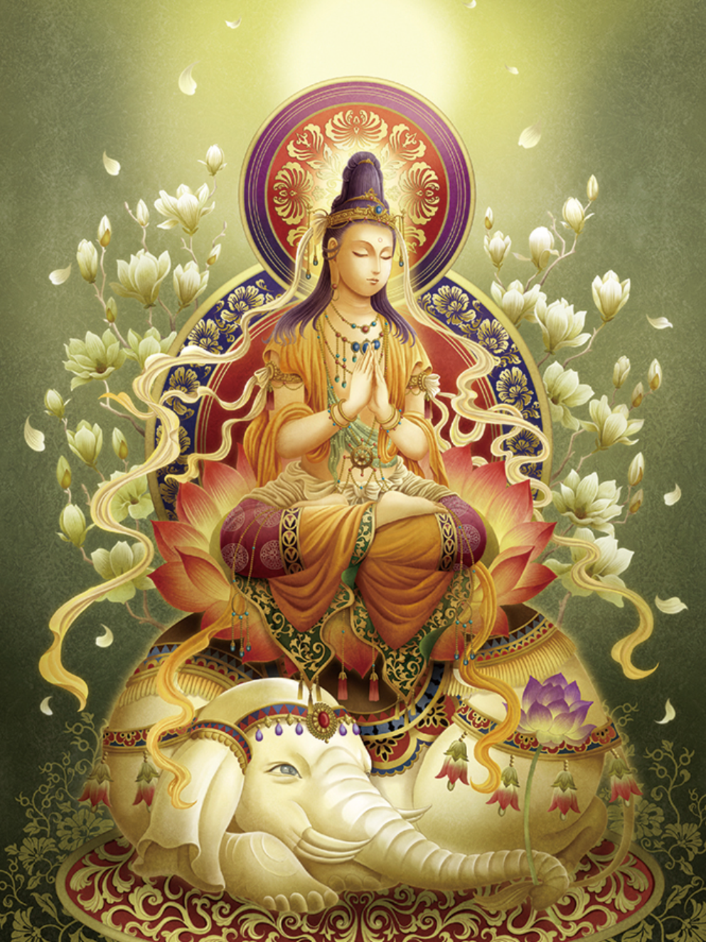  kimimaroさんのプロフィール画像