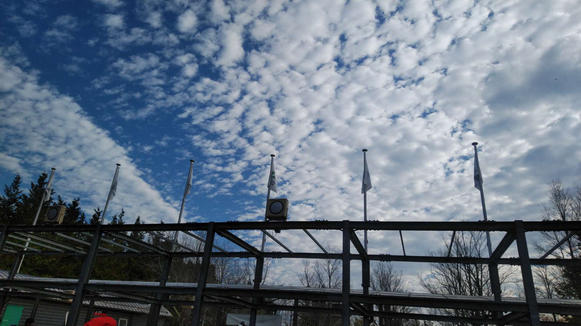 しろつばさんのプロフィール画像