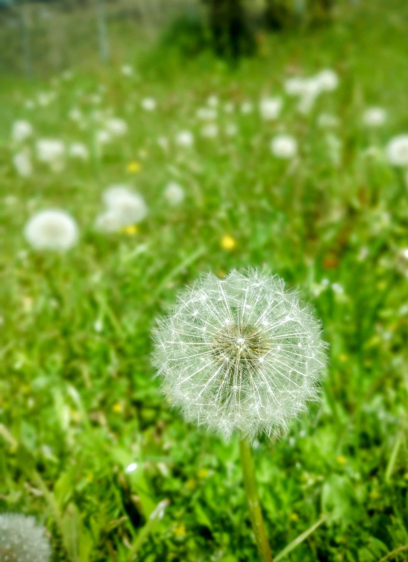 なゆたさんのプロフィール画像