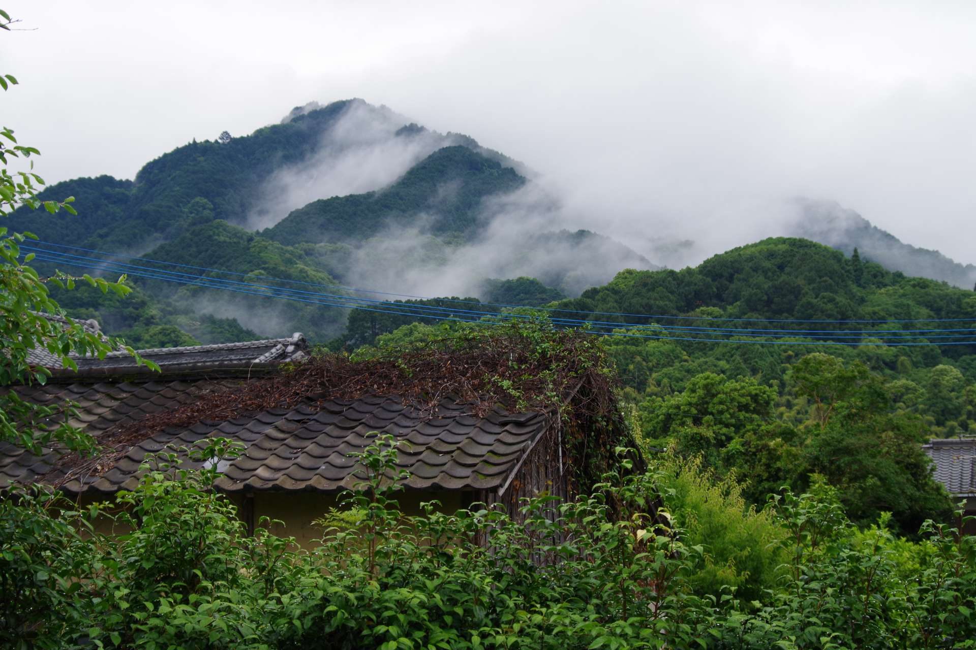 藤林さんのプロフィール画像