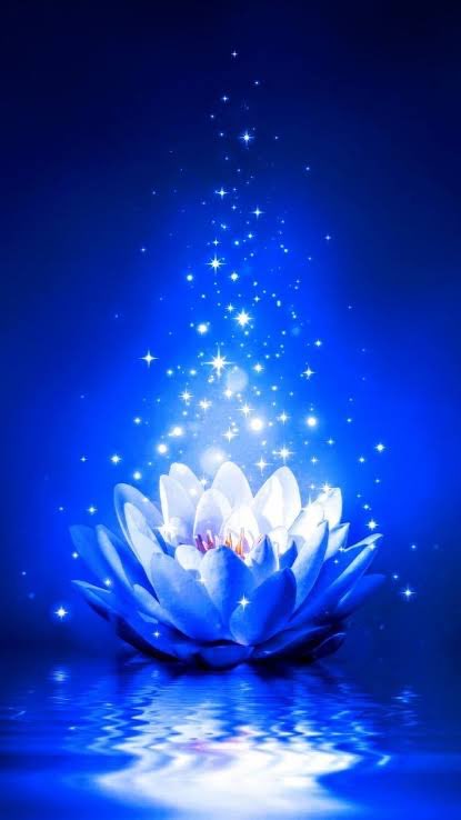 絵蓮さんのプロフィール画像