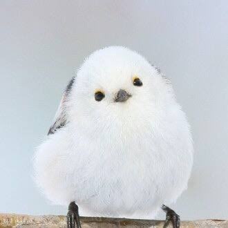 シマエナガ隊員さんのプロフィール画像