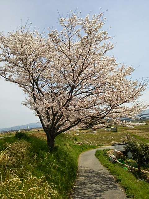 葉月さんのプロフィール画像